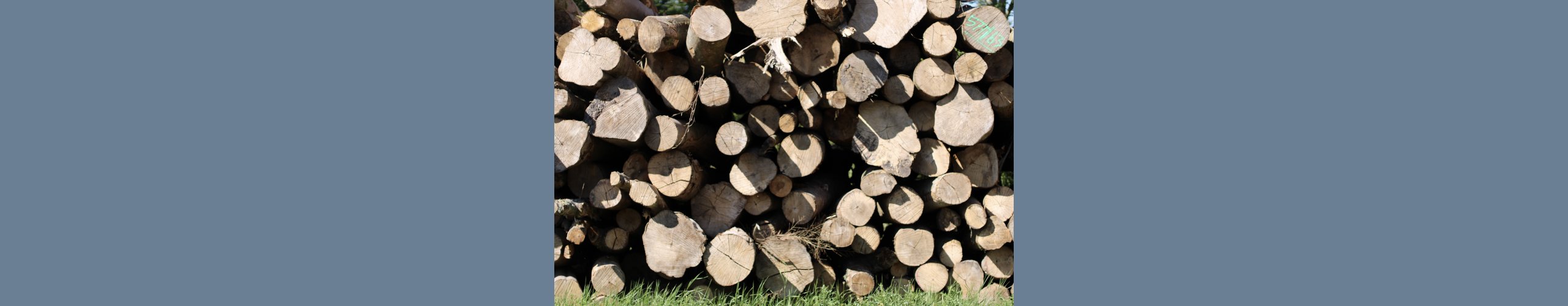 Tr stak, brndvrdi brnde, trsorter